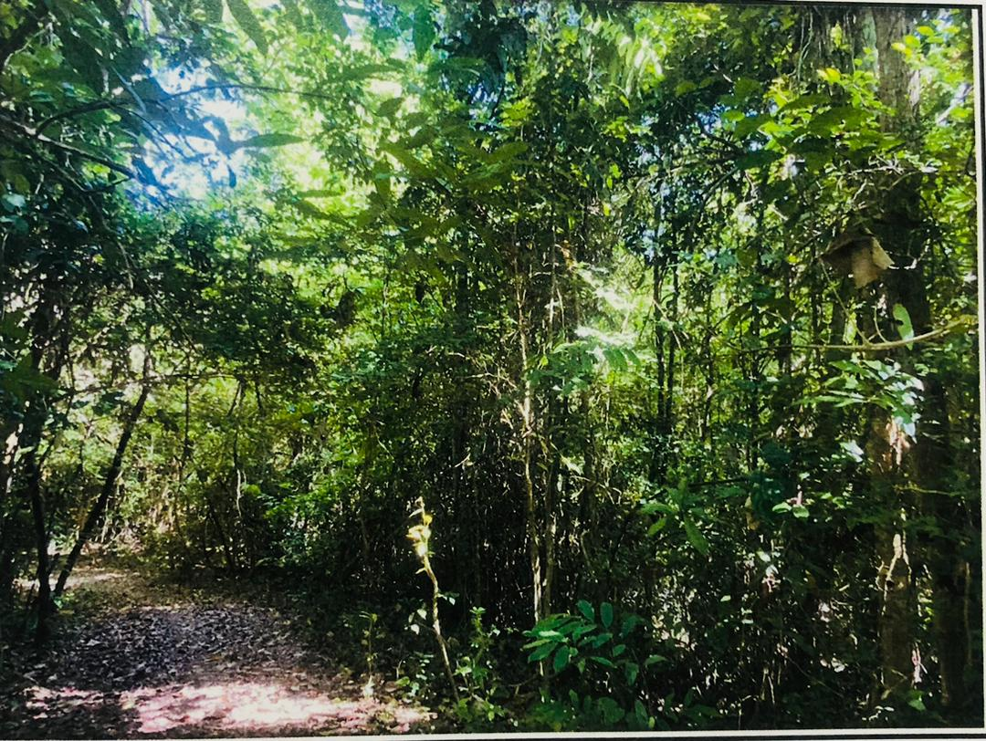 06400 Pokok Sena, Kedah
 photo