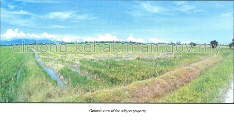 Kampung Permatang, Lot 1262. Mukim 10, 13200, Seberang Perai Utara, Pulau Pinang