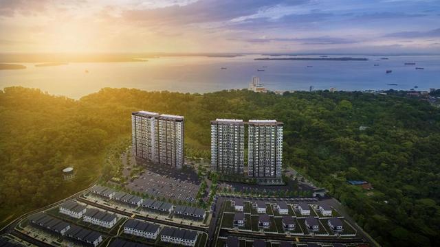 Kingfisher Sandakan photo