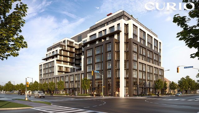 Curio Condos photo