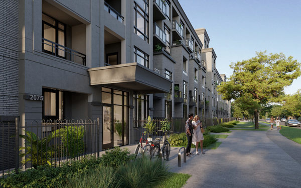 King Terraces in King City image