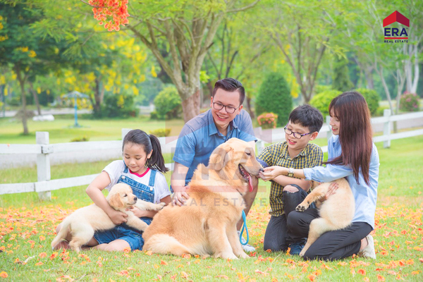 Celesta Heights | IQI Global 13