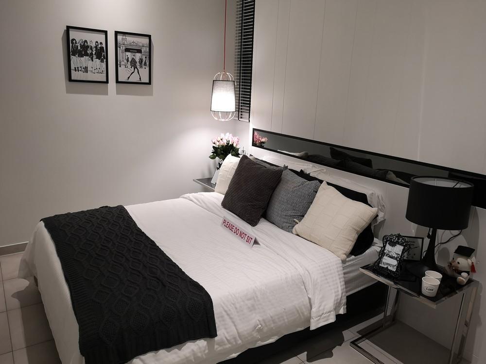 Kingfisher Sandakan image