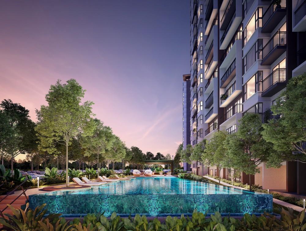 Kingfisher Sandakan image