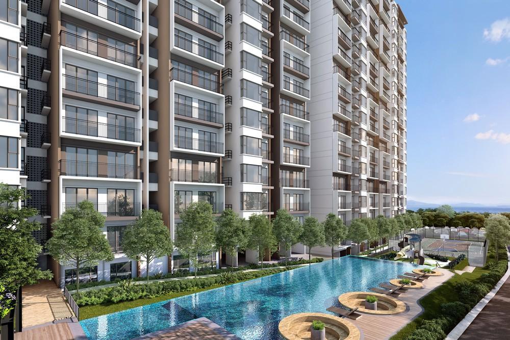 Kingfisher Sandakan image