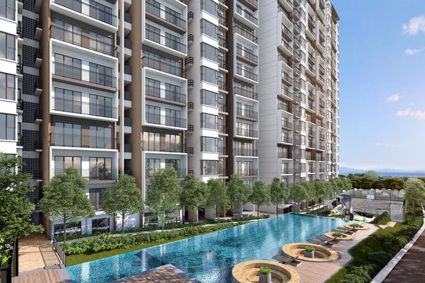 Kingfisher Sandakan | IQI Global 14