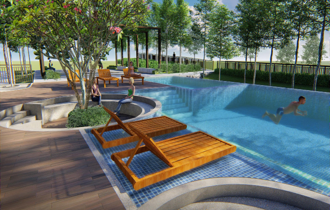 Kingfisher Sandakan image