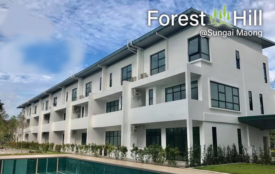 Forest Hill Townhouse @ Sungai Maong image