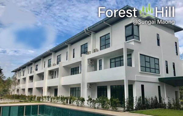 Forest Hill Townhouse @ Sungai Maong image