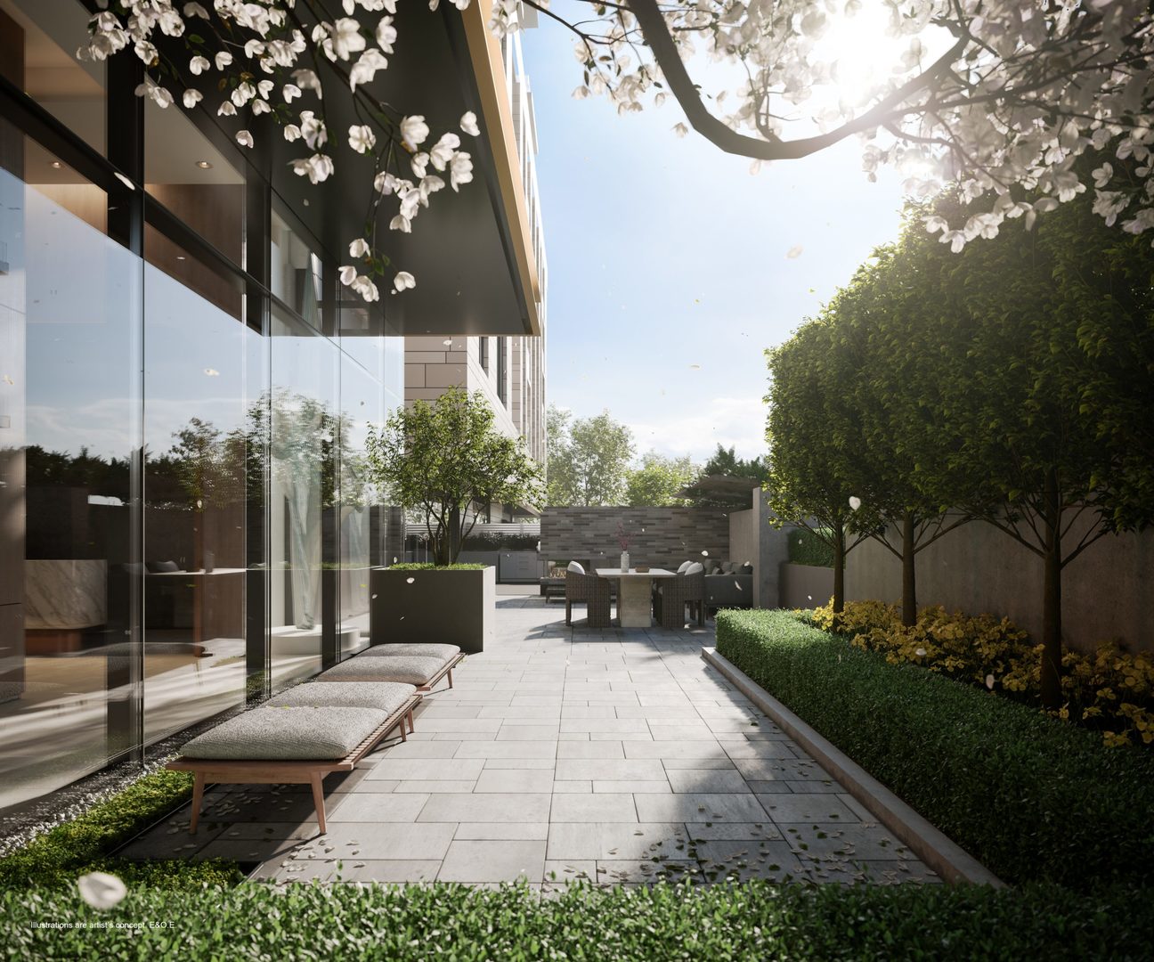 Forêt Forest Hill image