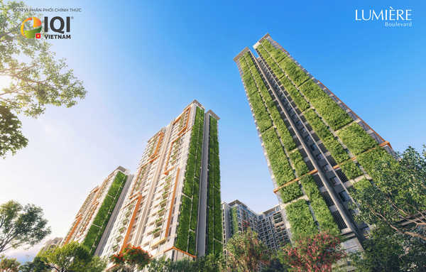 Lumière Boulevard | IQI Global 11