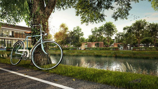 Dawn of A Legacy | IQI Global 26