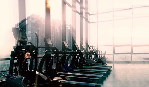 The Gates of Thornhill image