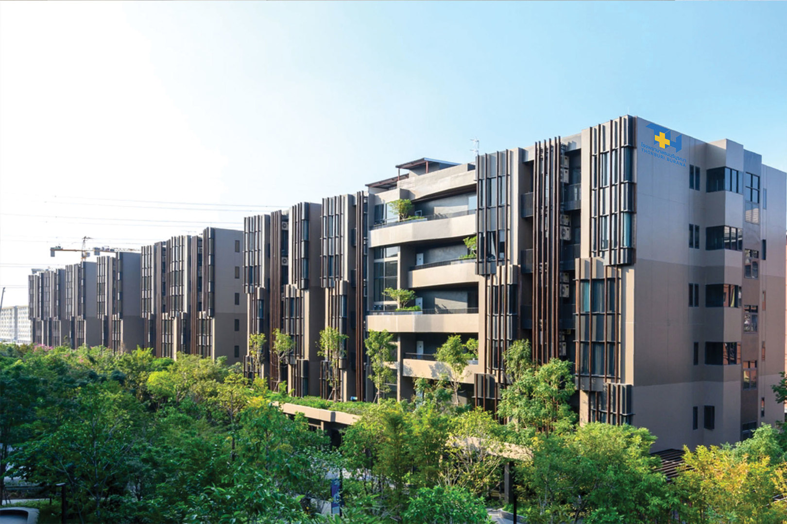 Jin Wellbeing County image