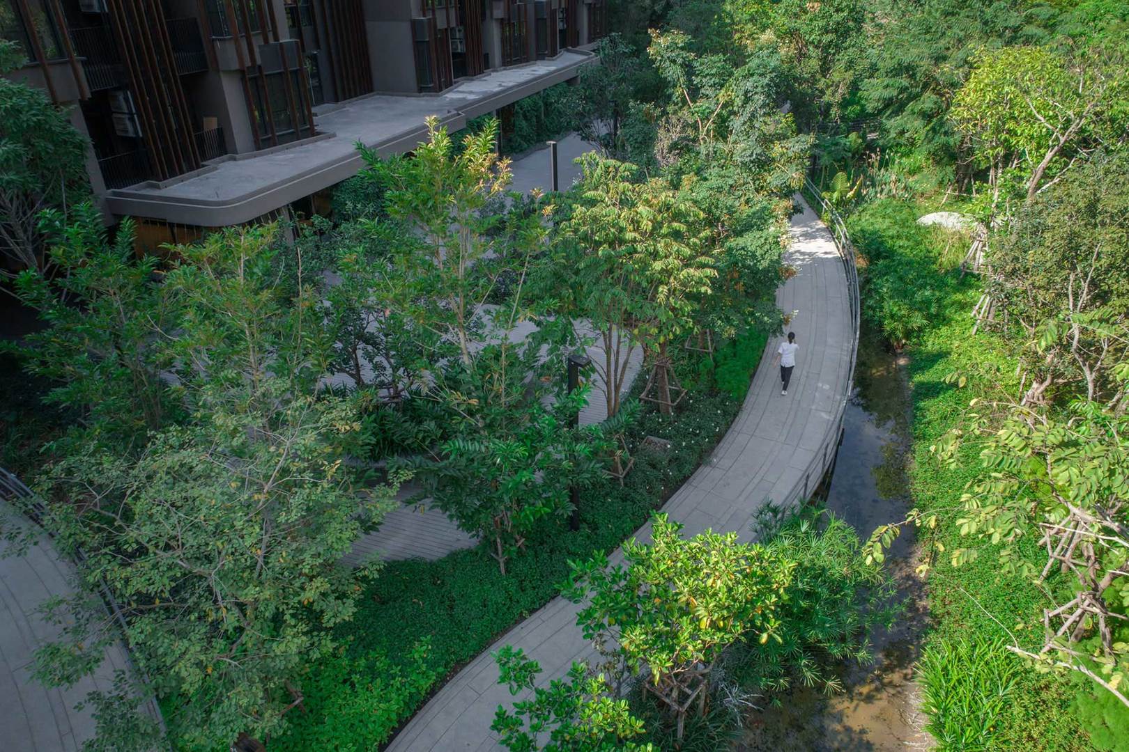 Jin Wellbeing County image