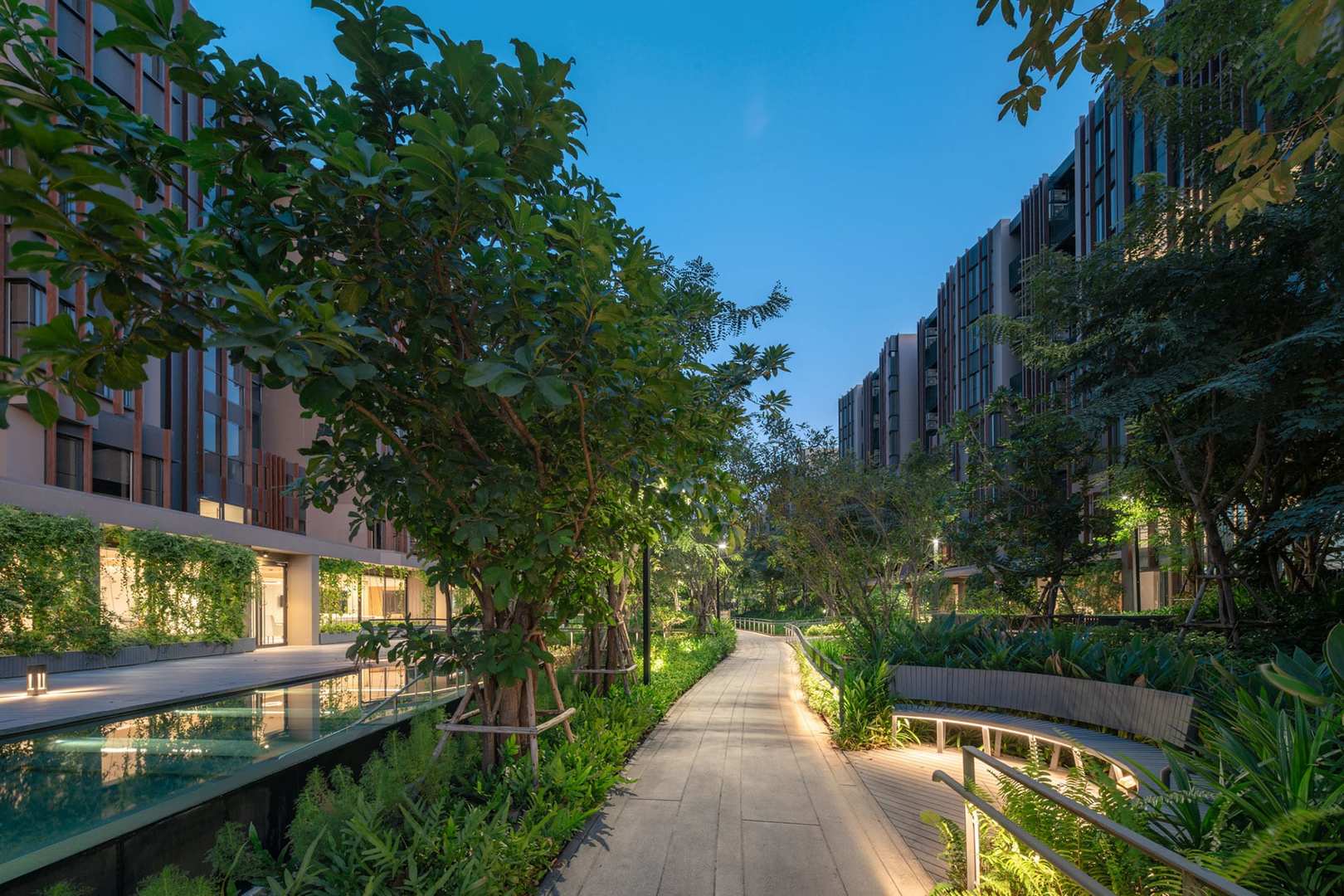 Jin Wellbeing County image