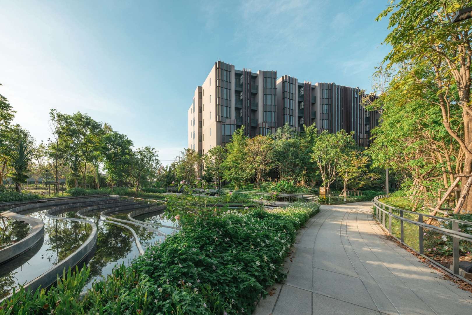 Jin Wellbeing County image