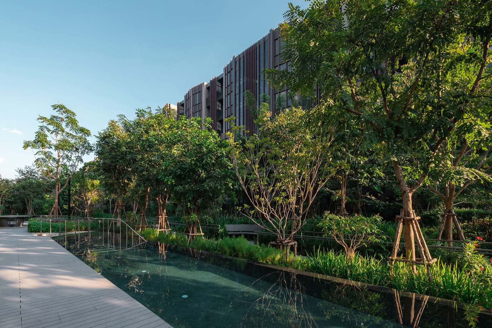 Jin Wellbeing County image