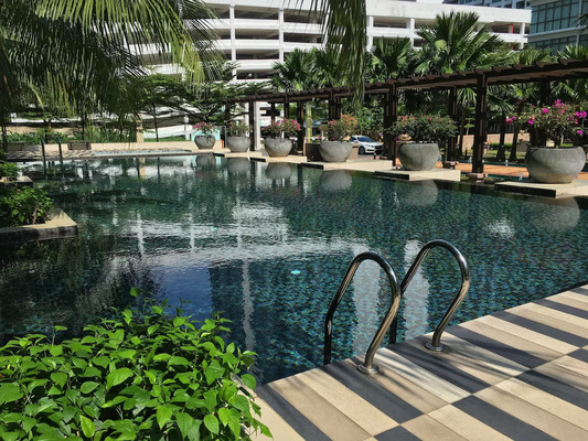 Palazio Austin image