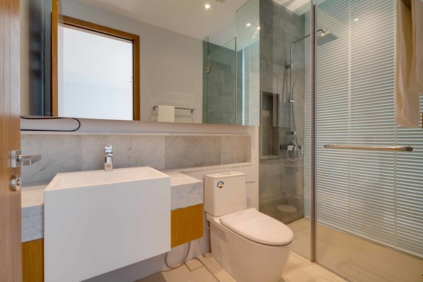 Botanica Foresta II image