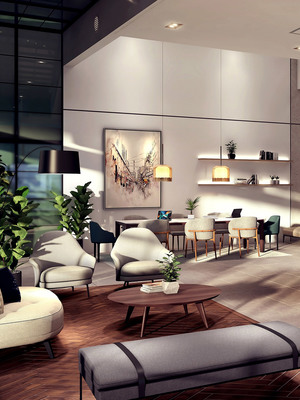 SWNK Houze | IQI Global 10