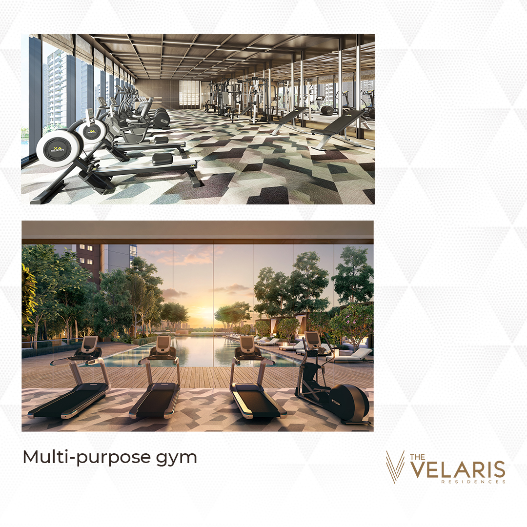 The Velaris Residences by RHK Land image