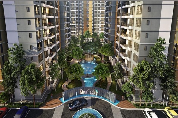 Kingfisher Putatan | IQI Global 10