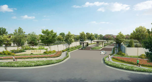 Life At Your Own Pace image