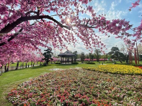 Vinhomes Smart City image