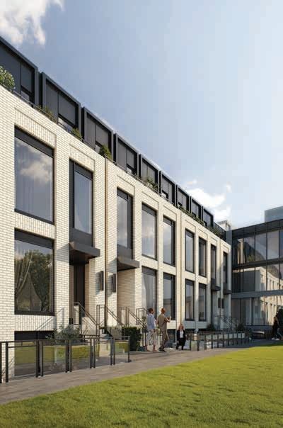 Savile on The Roe image