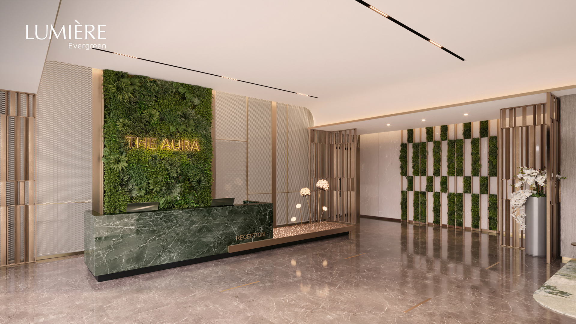 LUMIÈRE Evergreen image