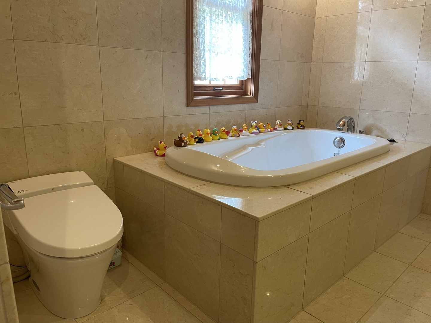 Miyanomori Castle image