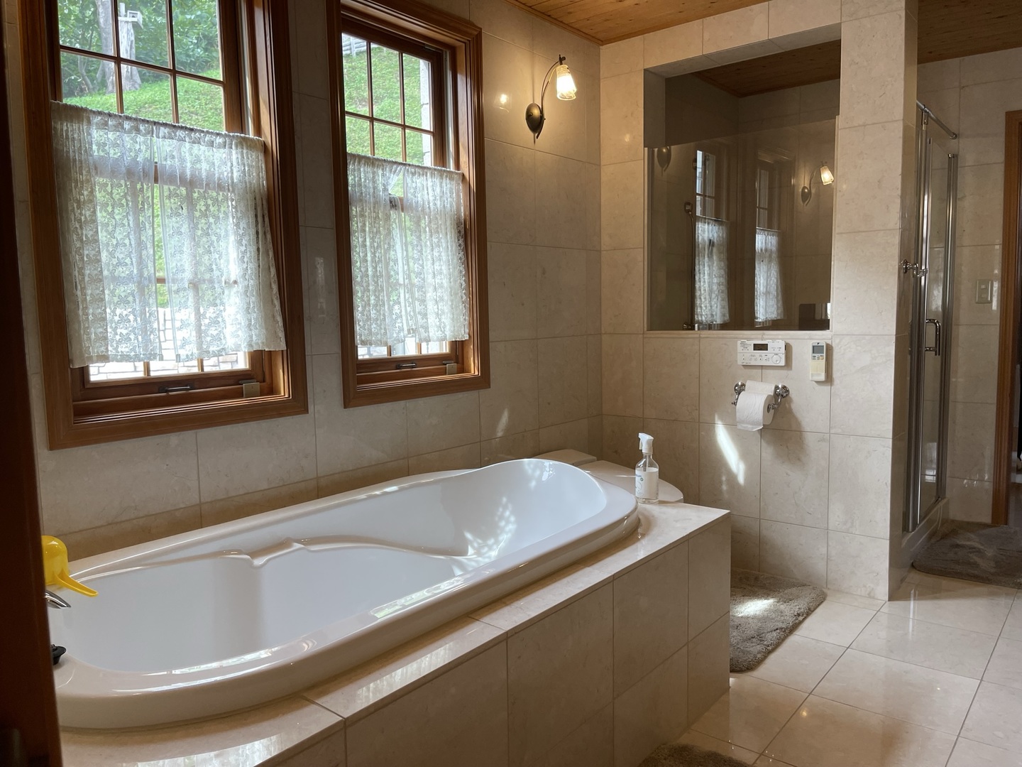 Miyanomori Castle image