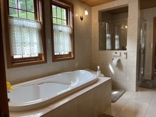 Miyanomori Castle image