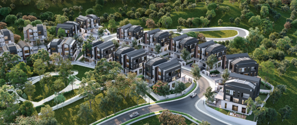 Rafflesia @ Hill 3 image