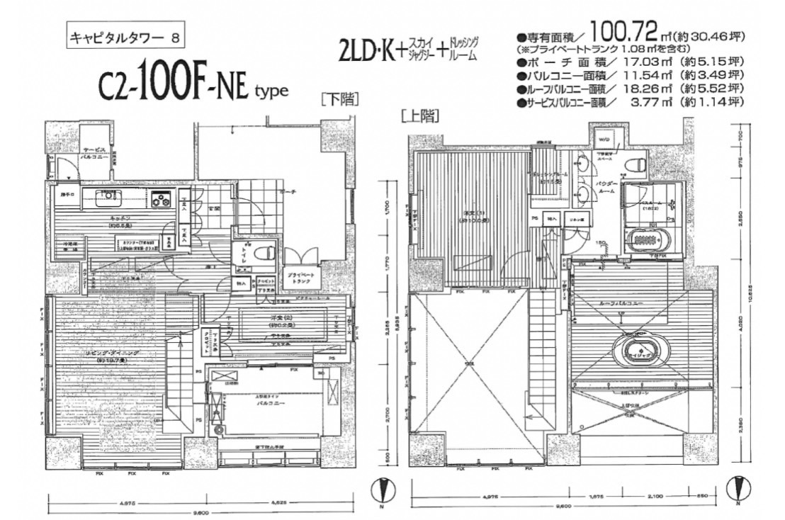 World City Towers Capital Tower image