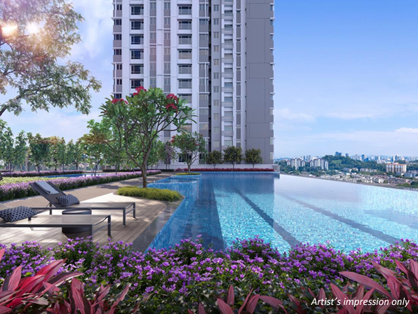 Vista Lavender image