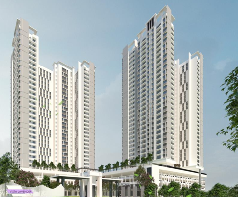 Vista Lavender | IQI Global 6