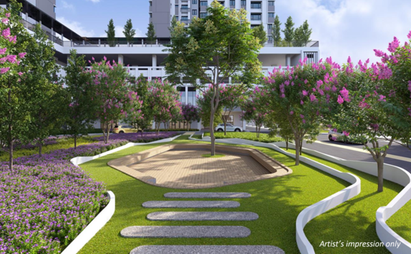 Vista Lavender | IQI Global 7