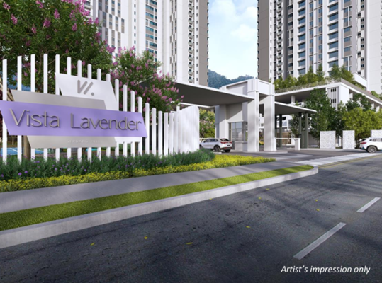 Vista Lavender | IQI Global 8