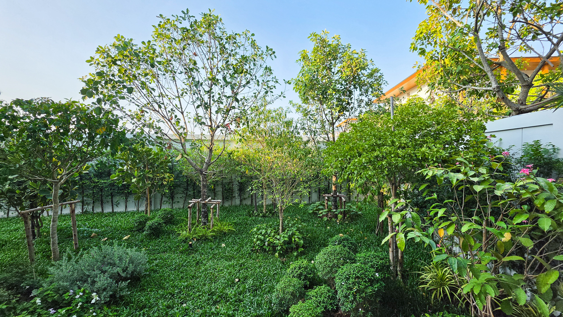 Vana Anda Cherngthalay image