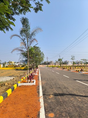 SAGA image