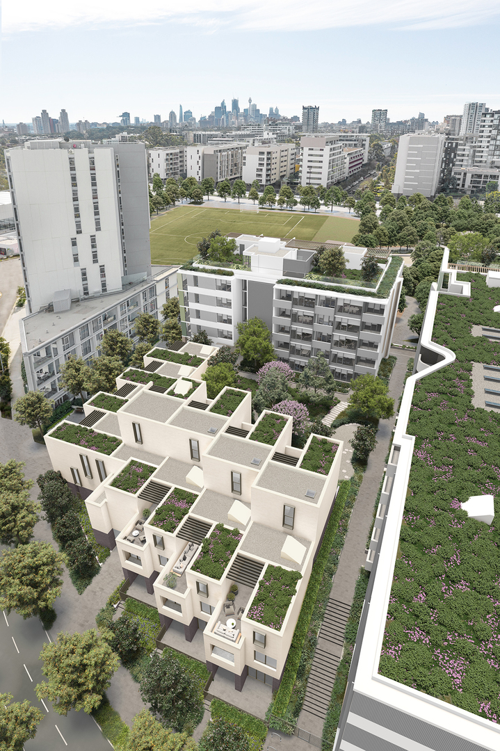 Allegra Zetland image