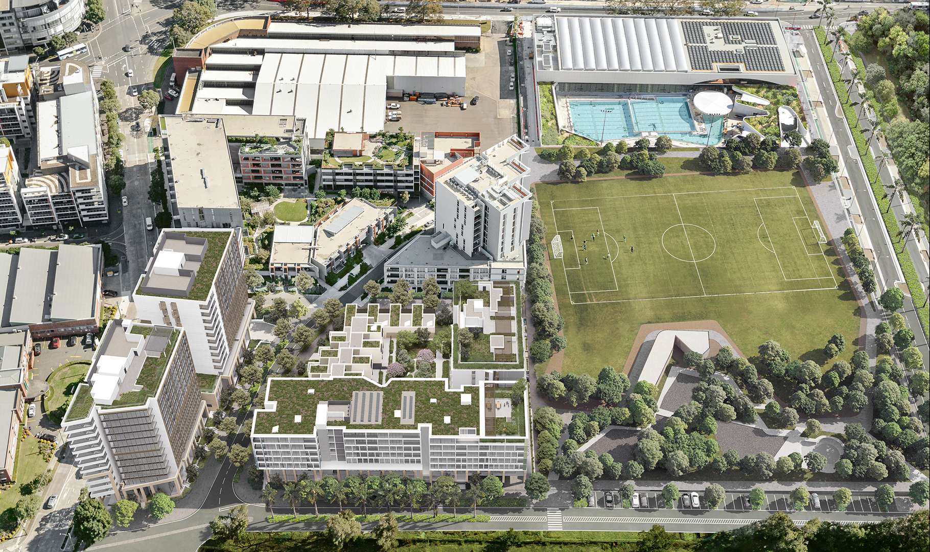 Allegra Zetland image