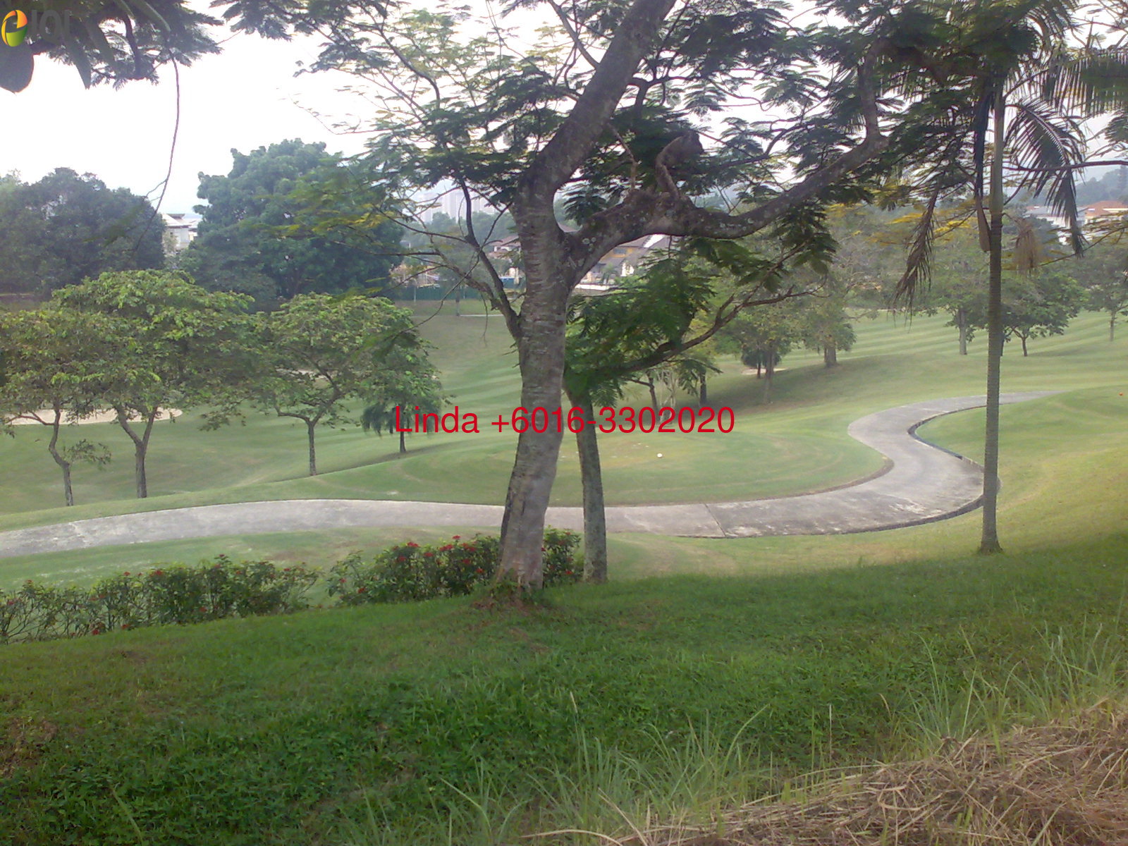 Tropicana Golf & Country Resort  image