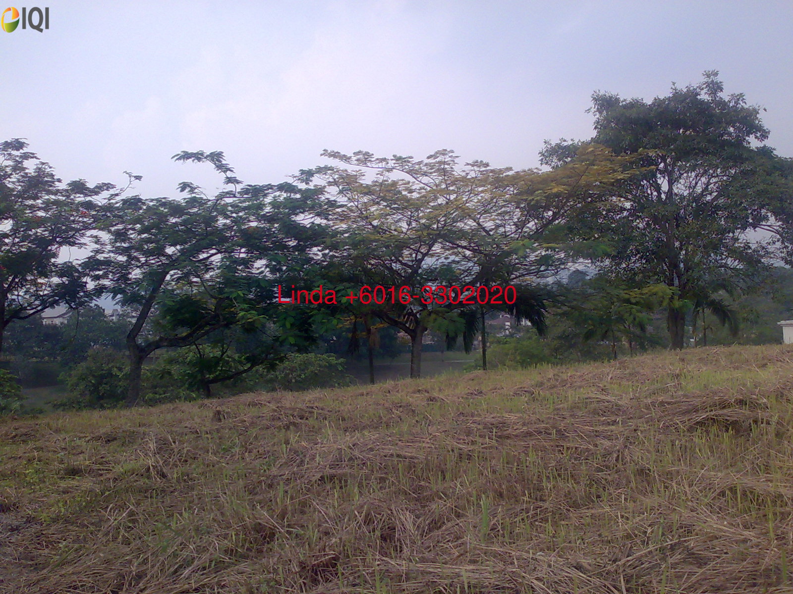 Tropicana Golf & Country Resort  image