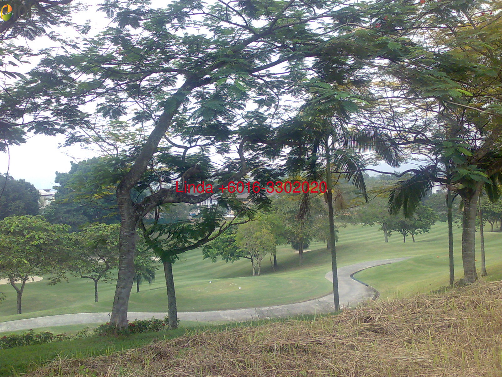 Tropicana Golf & Country Resort  image
