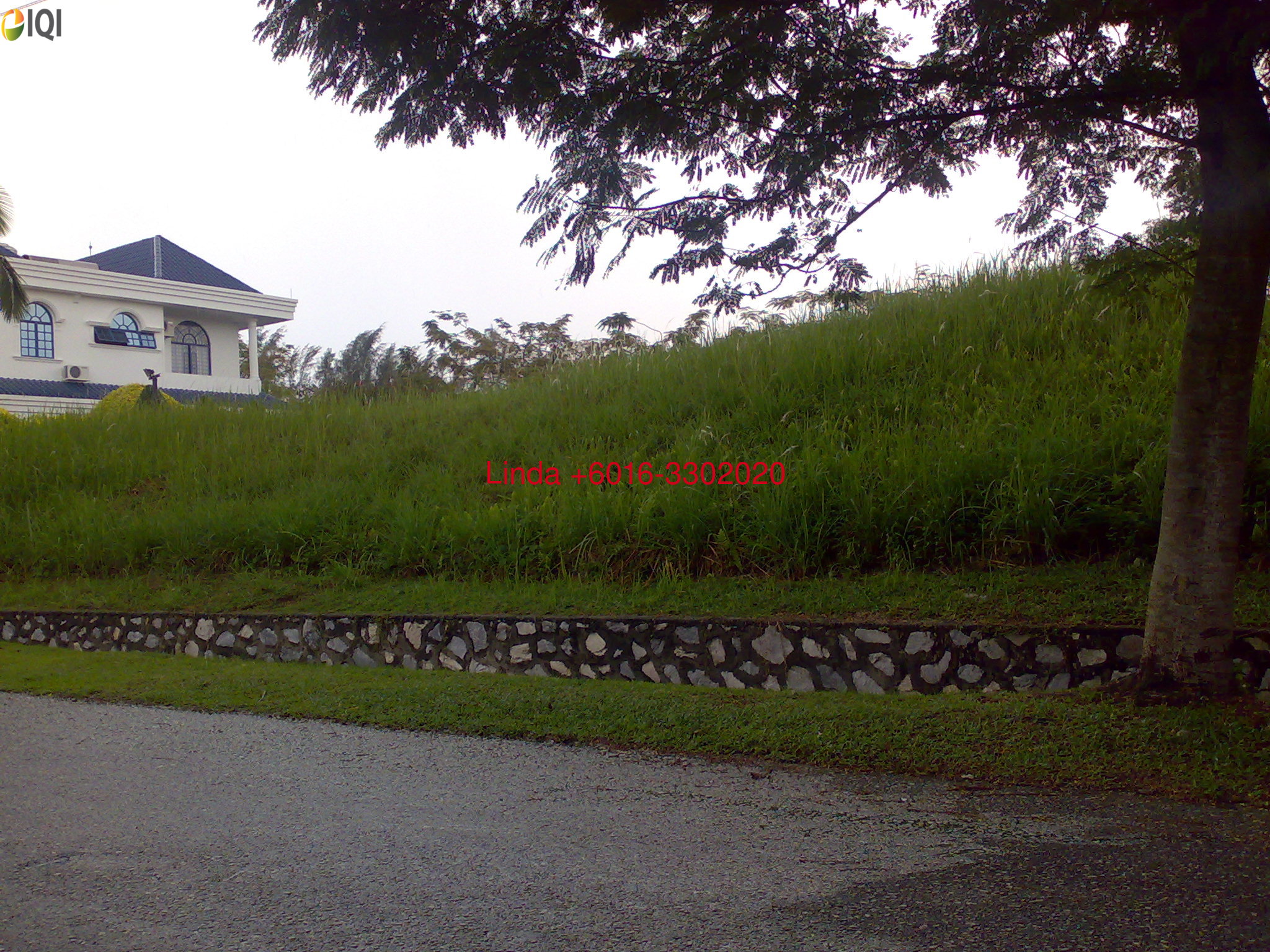 Tropicana Golf & Country Resort  image