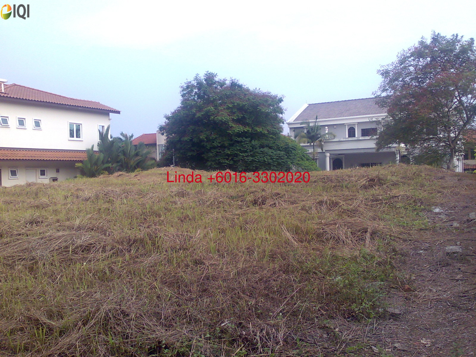 Tropicana Golf & Country Resort  image