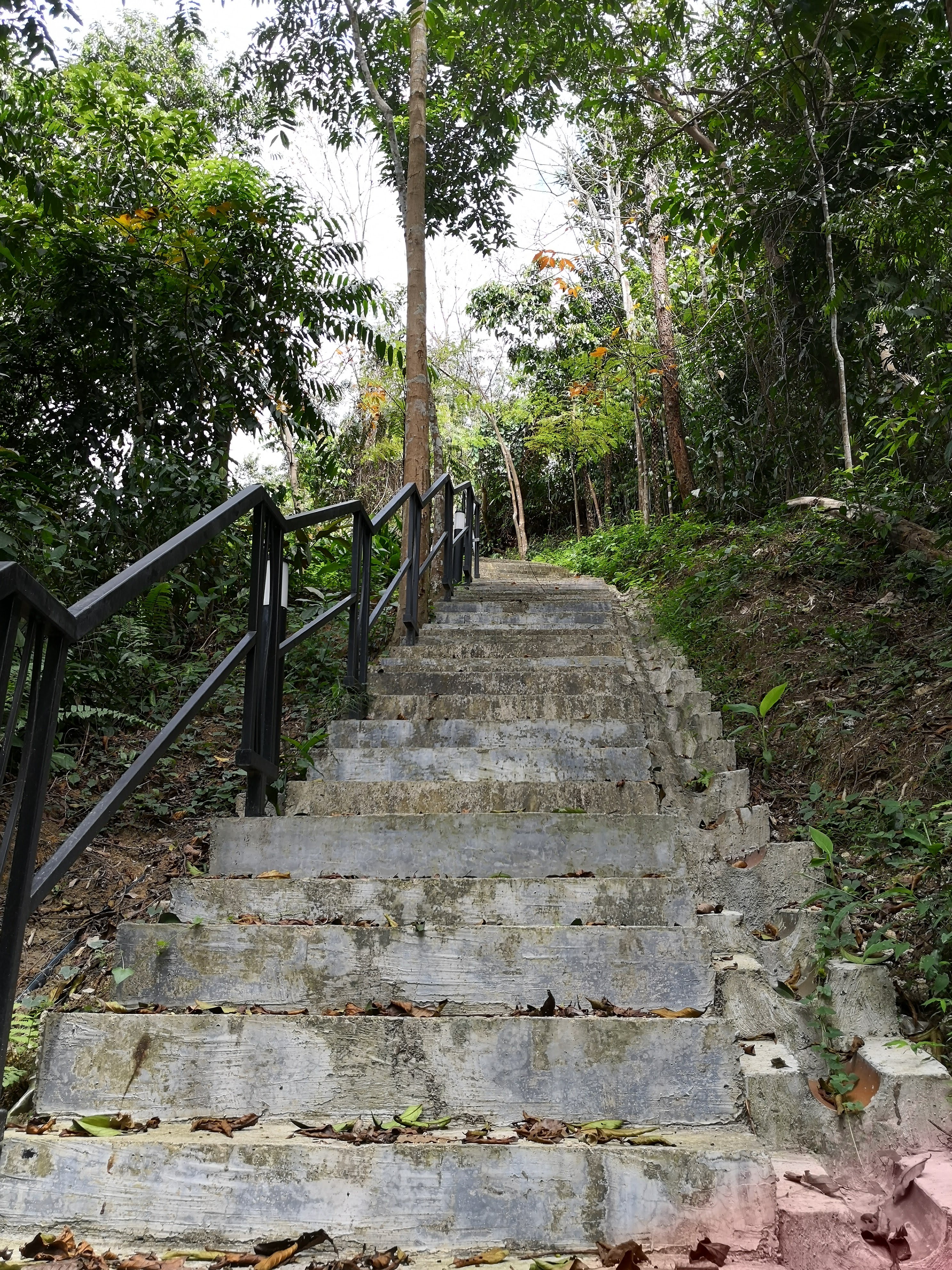 Suterapine condo sungai long image